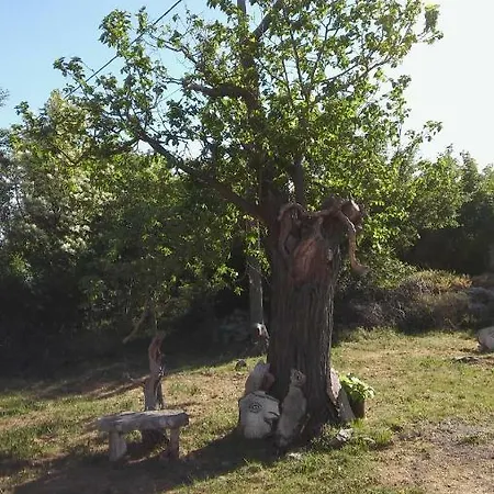 Kuca Za Odmor Bruno Vikendica *